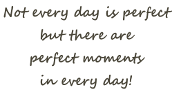 Not every day is perfect  but there are  perfect moments  in every day!